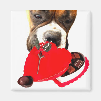 Boxer el día de San Valentín con imán de chocolate