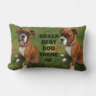 BOXER EL MEJOR PERRO QUE HAY  almohada