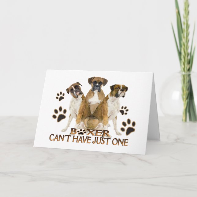 Boxer no puede tener una sola tarjeta (Anverso)