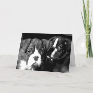Boxer pups tarjeta de saludo