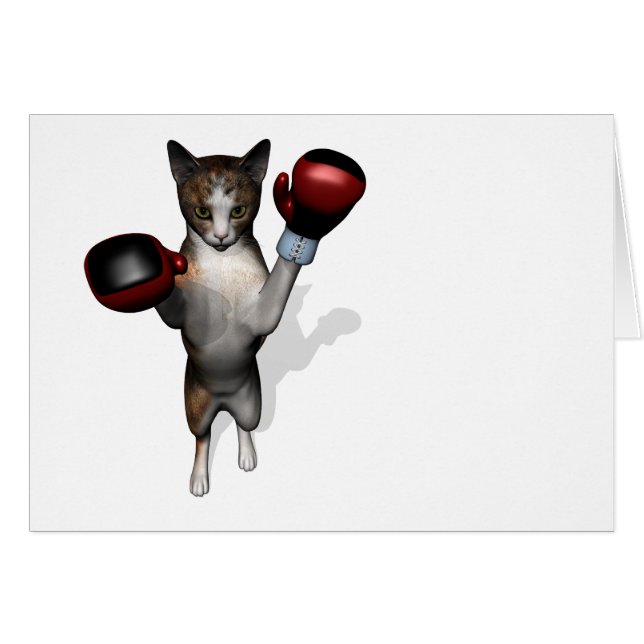 Boxer Tabby (Anverso (Horizontal))
