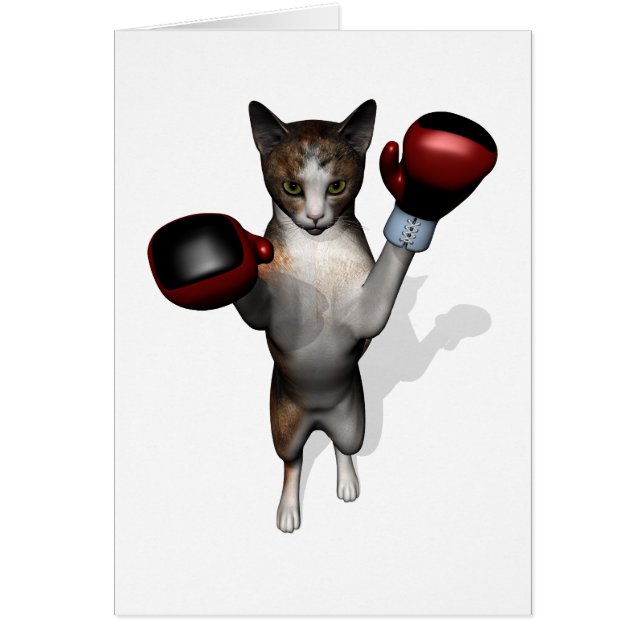 Boxer Tabby (Frente)