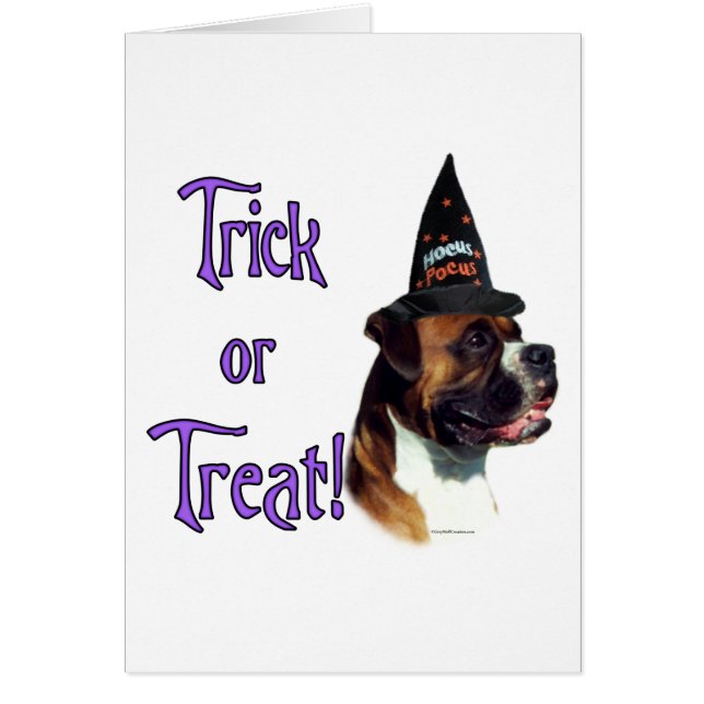 Boxer Trick (Frente)