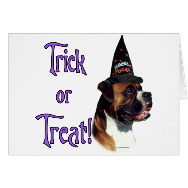 Boxer Trick (Anverso (Horizontal))