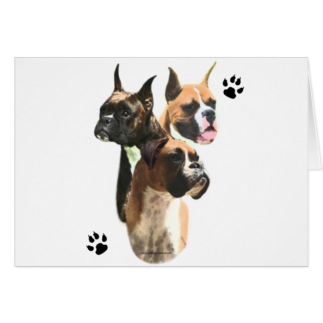 Boxer Trio (Anverso (Horizontal))