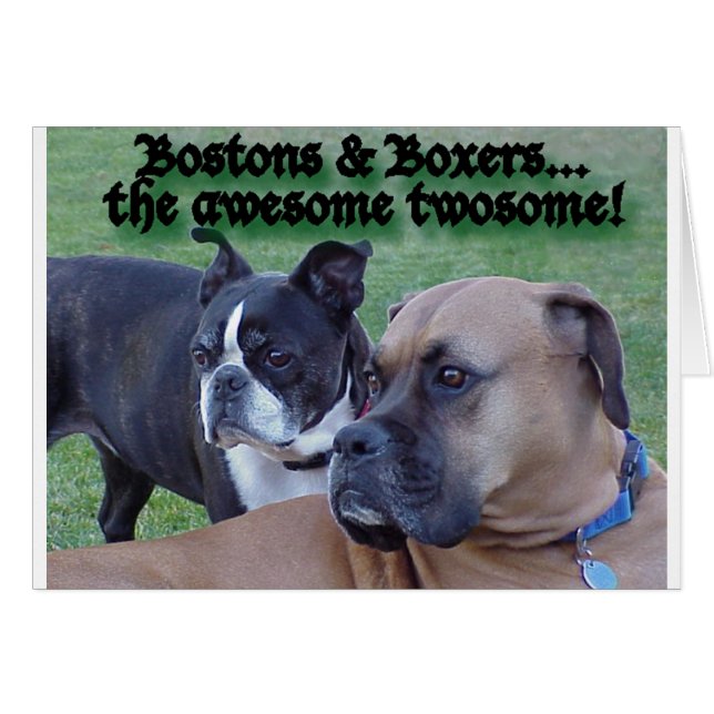 Boxers y Bostons (Anverso (Horizontal))