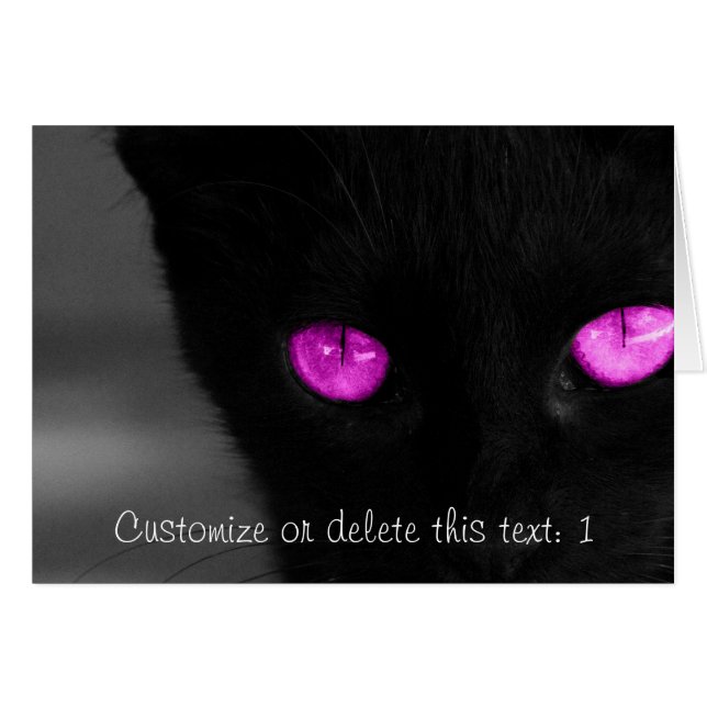 BPUR Black Cat Purple Eyes (Anverso (Horizontal))