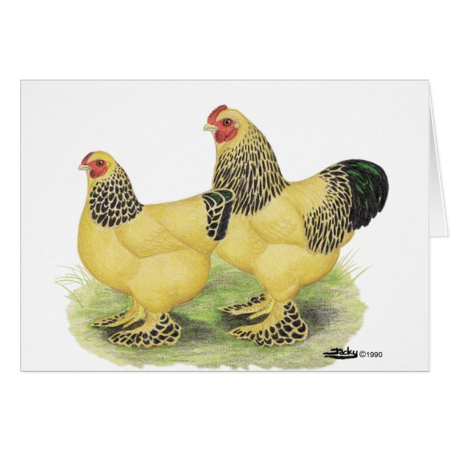 Brahmas:  Gallos de color de ante (Anverso (Horizontal))