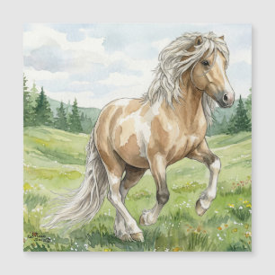 Brana Pinto Palomino Acuarela Islandesa