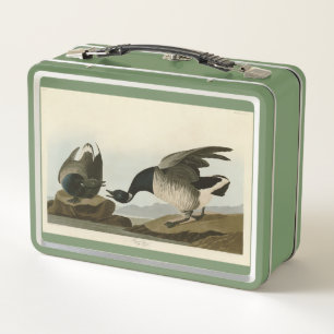 Brant Goose (Brant) de Audubon Birds of America