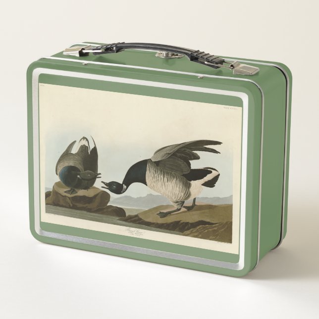 Brant Goose (Brant) de Audubon Birds of America (Reverso)