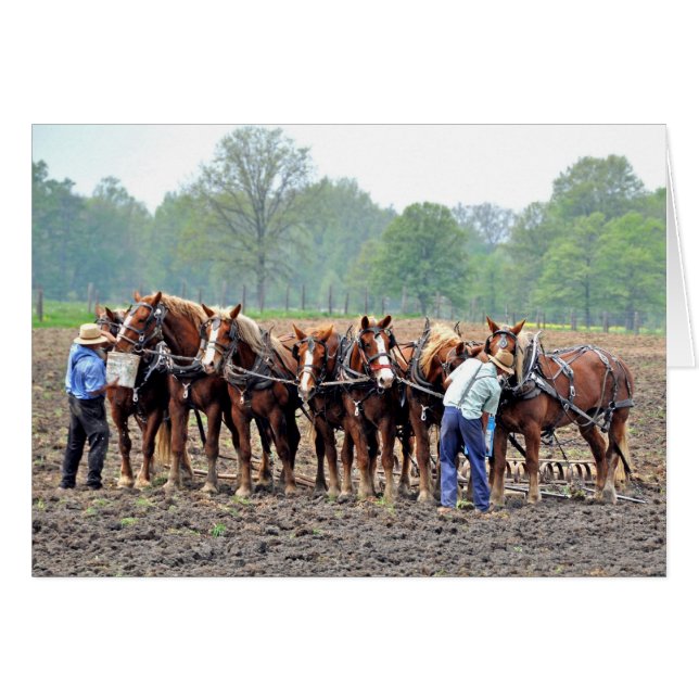 Breaktime (Anverso (Horizontal))
