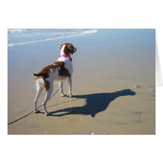 BRETAÑA EN LA PLAYA