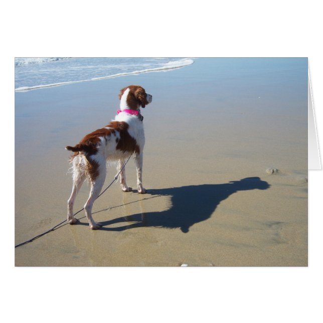 BRETAÑA EN LA PLAYA (Anverso (Horizontal))