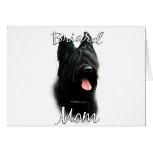 Briard Mom 2