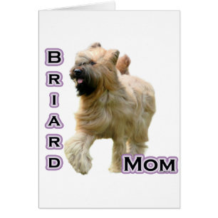 Briard Mom 4