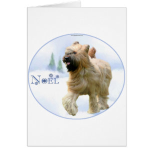 Briard Noel
