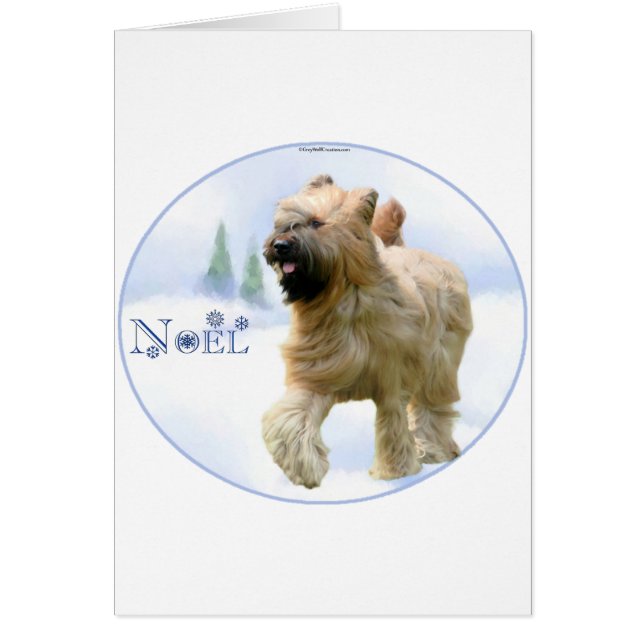 Briard Noel (Frente)