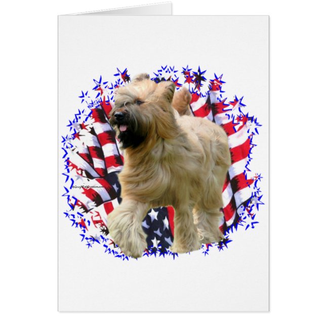 Briard Patriot (Frente)