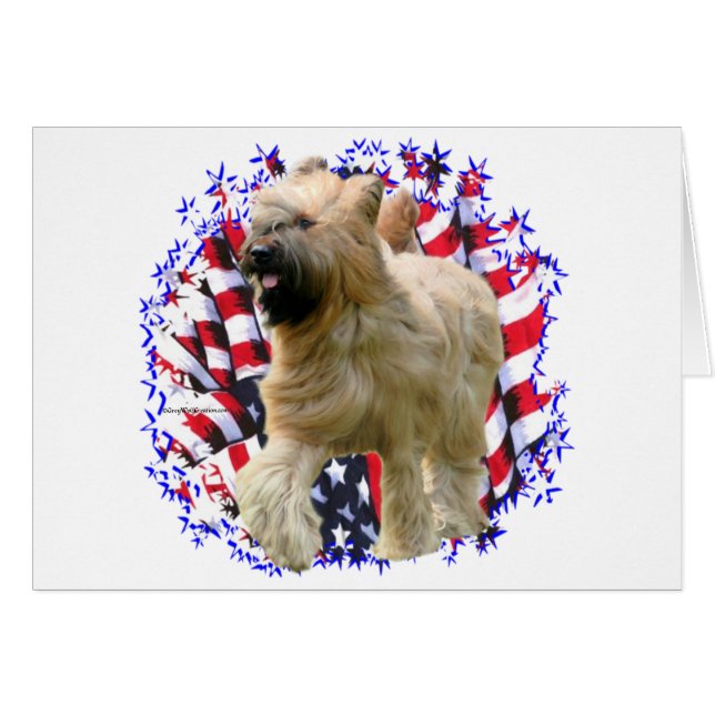 Briard Patriot (Anverso (Horizontal))
