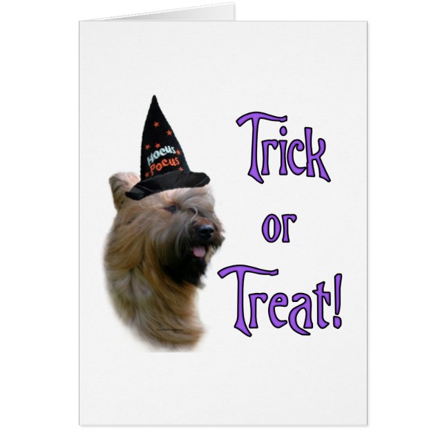 Briard Trick (Frente)