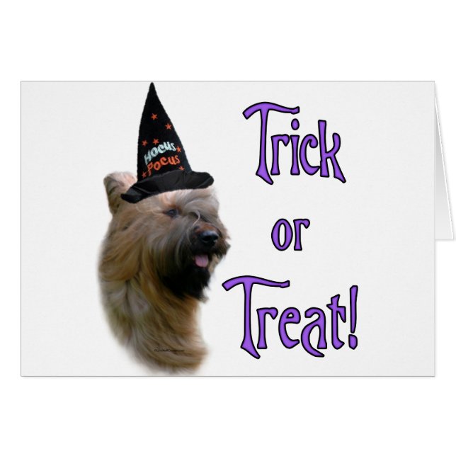 Briard Trick (Anverso (Horizontal))