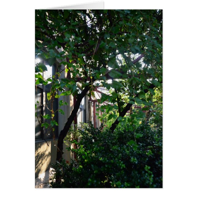 Brickbottom Couryard (Frente)