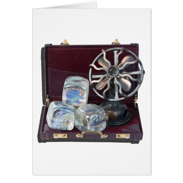 BriefcaseIceCubesFan081914.png (Frente)