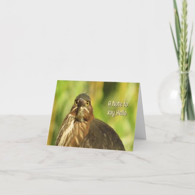 Bright Eyed Heron - Tarjeta de saludo en blanco (Anverso)