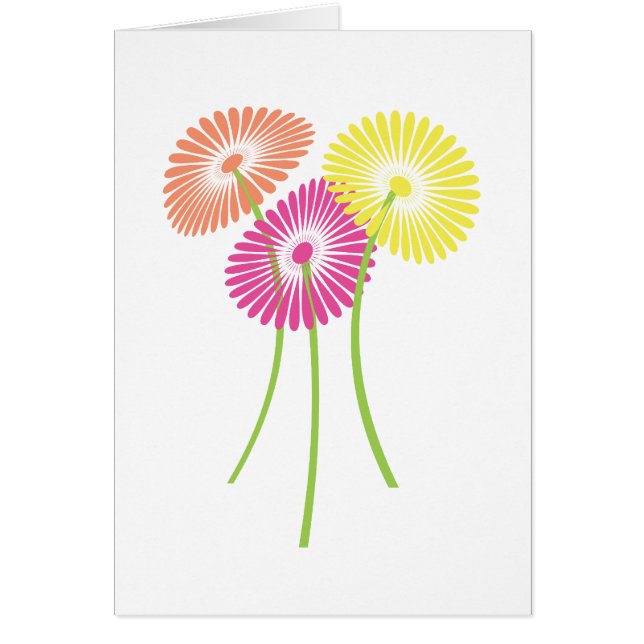 Bright Gerbera (Frente)