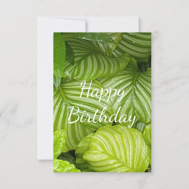 Bright Green Leaves Waterdrop Cumpleaños (Anverso)