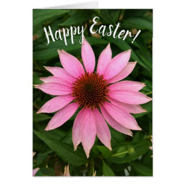 Bright Purple Coneflower Easter Card