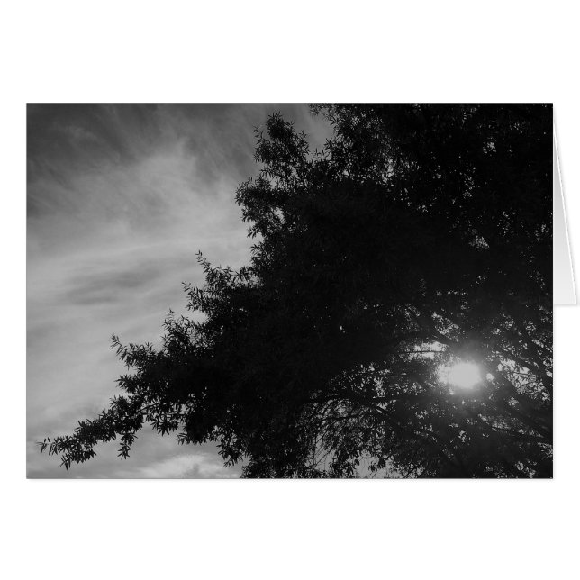 Brillando (Anverso (Horizontal))