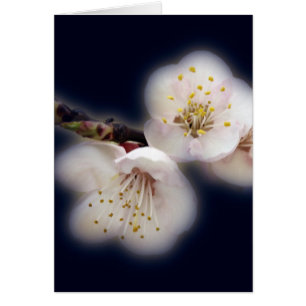 brillando a la luz de la luna