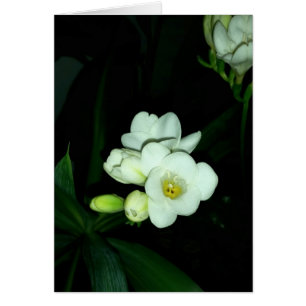 brillando en la oscuridad