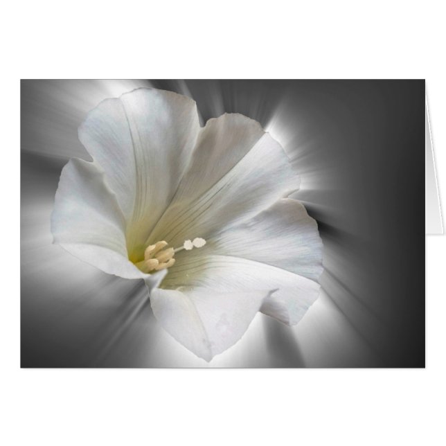 Brillando en la oscuridad (Anverso (Horizontal))