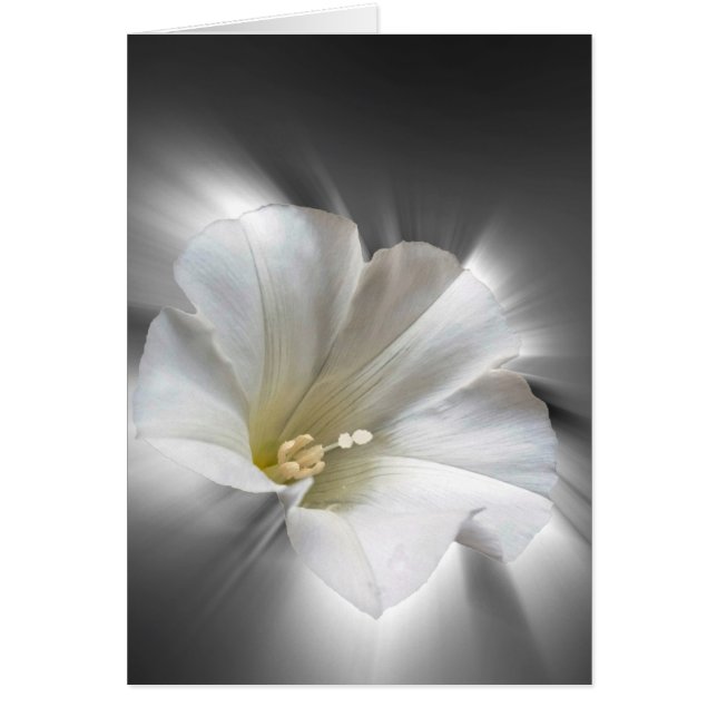 Brillando en la oscuridad (Frente)