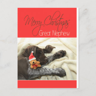 Brillante Grizzly Gran Sobrino Feliz Navidad