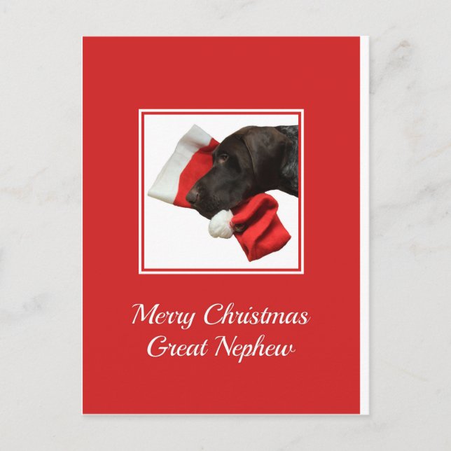 Brillante Grizzly Gran Sobrino Feliz Navidad (Anverso)