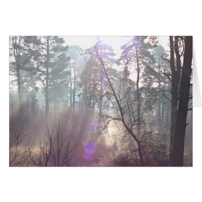 Brillante luz solar de mañana a través de la tarje (Anverso (Horizontal))