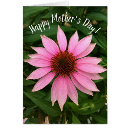 Brillante morada, la carta del día de la madre