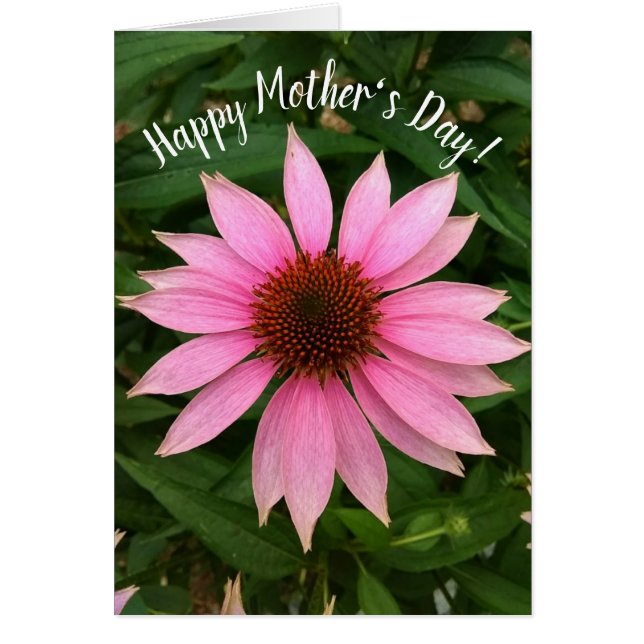 Brillante morada, la carta del día de la madre (Frente)