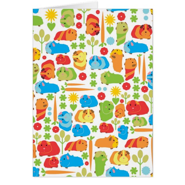 Brillante parche de cerdo guineano (Frente)