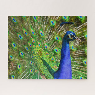 Brillante rompecabezas azul