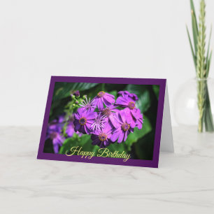 Brillante Tarjeta de Deseos de Cumpleaños Morado F