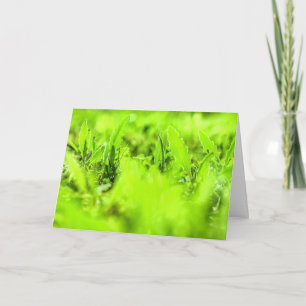 Brillante tarjeta de saludo de naturaleza de plant
