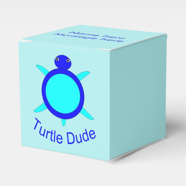 Brillante Turtle Azul Amigo Personalizado Caja de  (Costado Anverso)