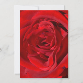 Brillantes invitaciones Red Rose
