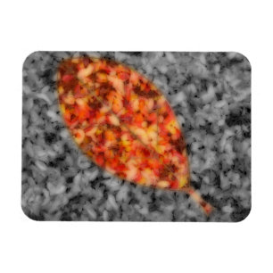 Brillantes Sombras Imán Flexible