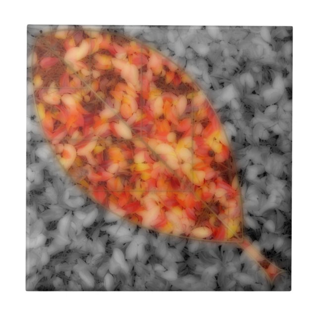 Brillantes Sombras Tejas Decorativas (Frente)